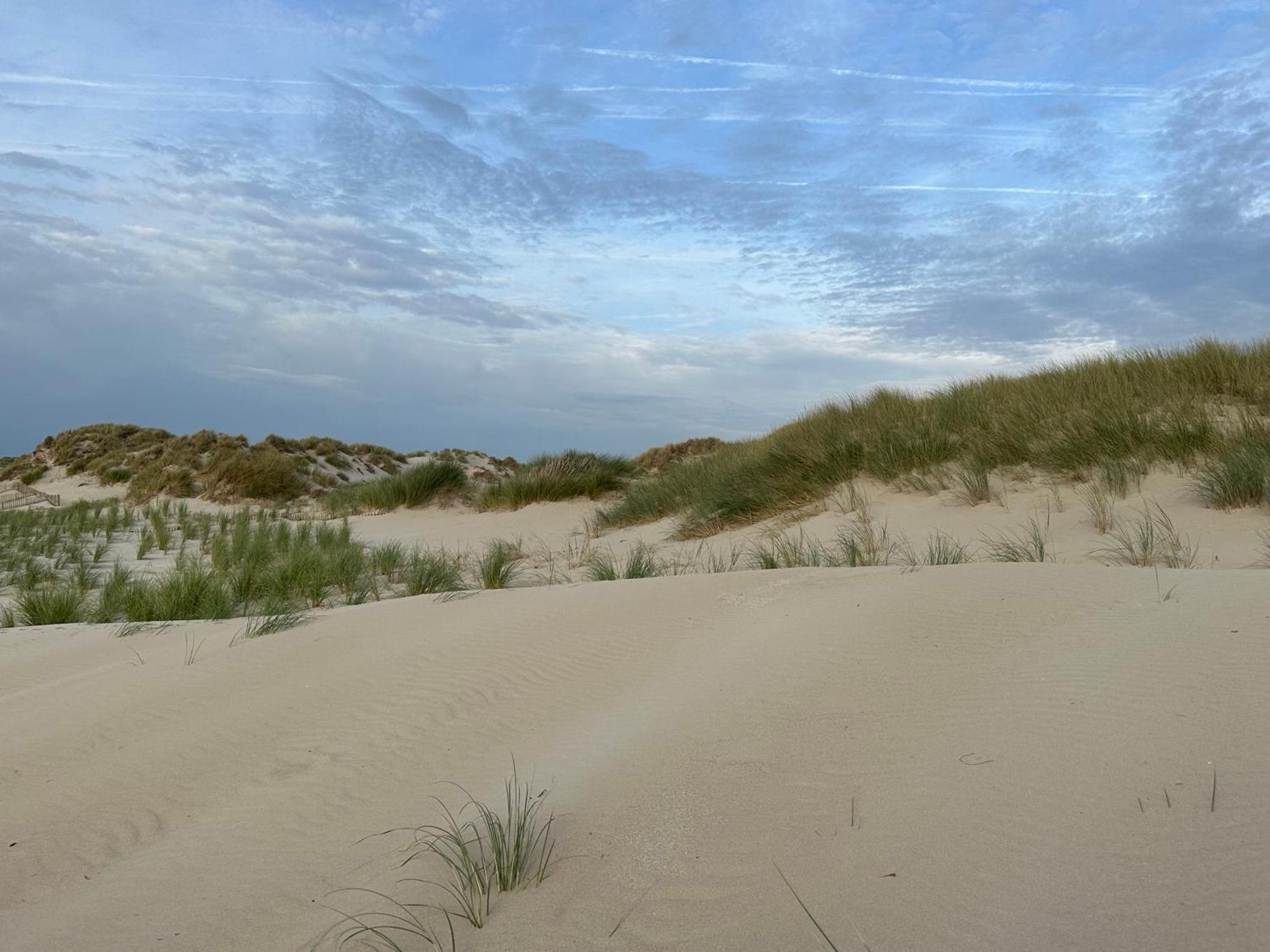 Bleu Blanc Dunes Appartement Plage Merlimont 10 Mn Berck Le Touquet Exteriér fotografie