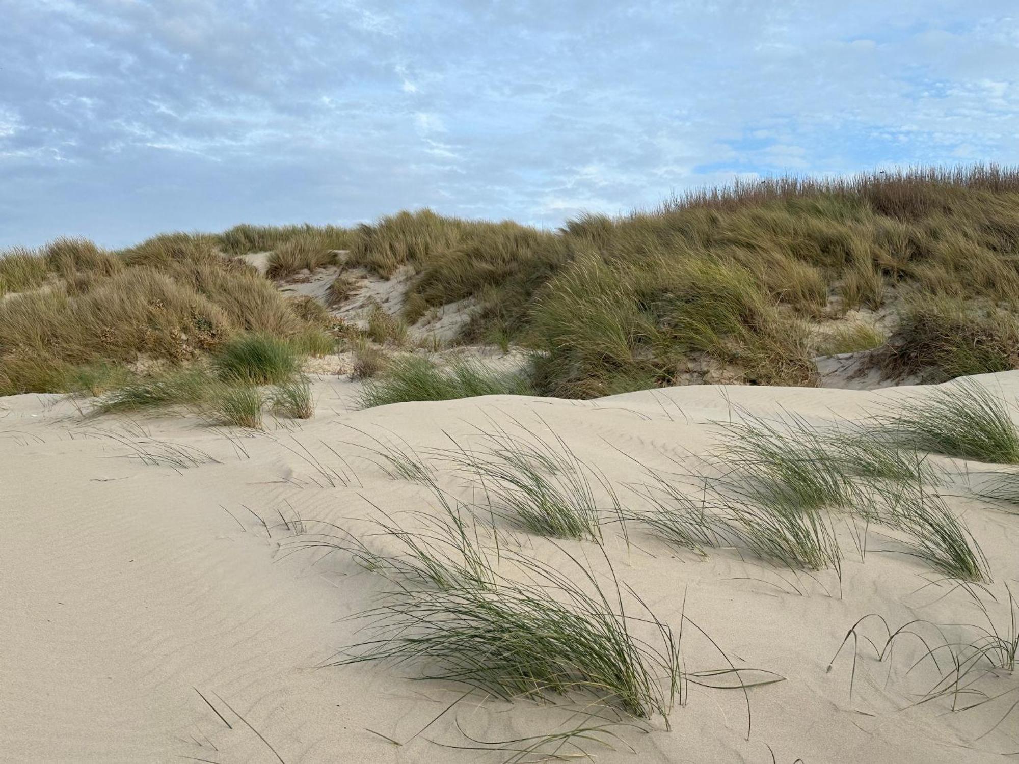 Bleu Blanc Dunes Appartement Plage Merlimont 10 Mn Berck Le Touquet Exteriér fotografie
